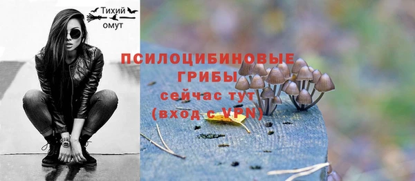 mix Вяземский