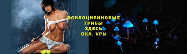 гашик Горнозаводск