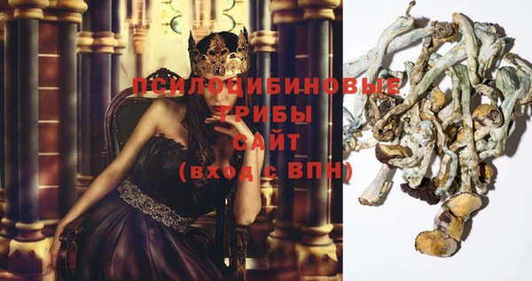 гашик Горнозаводск