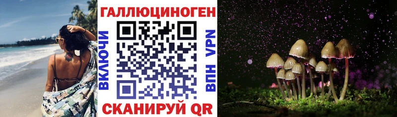 Псилоцибиновые грибы Psilocybe  Купить  Ярцево 